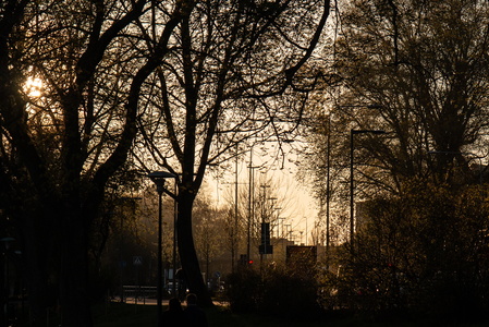 Stockholm-Saninka-IMG 5235